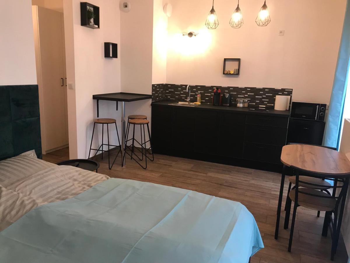 Steam Park Rakowicka Koper Apartment クラクフ エクステリア 写真
